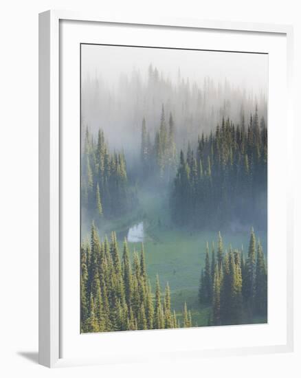 Washington, Mount Rainier National Park. Overview of Surprise Lake-Jaynes Gallery-Framed Photographic Print