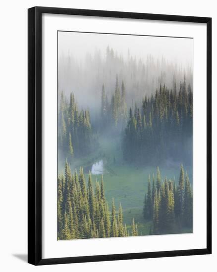 Washington, Mount Rainier National Park. Overview of Surprise Lake-Jaynes Gallery-Framed Photographic Print