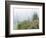 Washington, Mount Rainier National Park. Wildflowers in Misty Forest-Jaynes Gallery-Framed Photographic Print