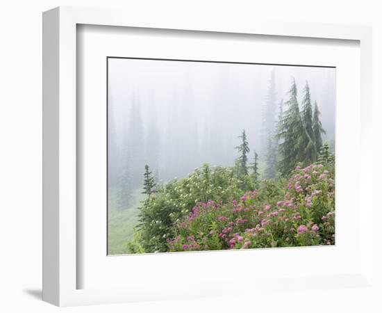 Washington, Mount Rainier National Park. Wildflowers in Misty Forest-Jaynes Gallery-Framed Photographic Print