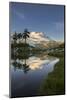 Washington, Mt. Baker Reflecting in a Tarn on Park Butte-Gary Luhm-Mounted Photographic Print