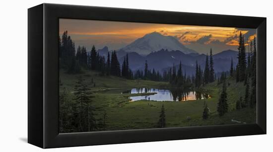 Washington, Mt. Rainer National Park-Gary Luhm-Framed Premier Image Canvas