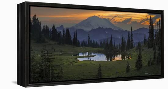 Washington, Mt. Rainer National Park-Gary Luhm-Framed Premier Image Canvas