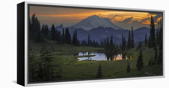 Washington, Mt. Rainer National Park-Gary Luhm-Framed Premier Image Canvas