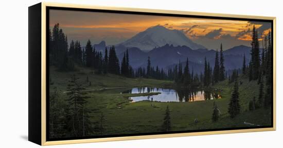 Washington, Mt. Rainer National Park-Gary Luhm-Framed Premier Image Canvas