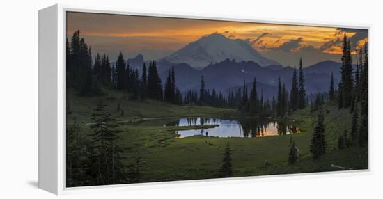 Washington, Mt. Rainer National Park-Gary Luhm-Framed Premier Image Canvas