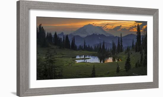 Washington, Mt. Rainer National Park-Gary Luhm-Framed Photographic Print