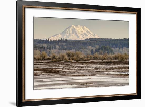 Washington. Mt Rainier in the Distance at the Nisqually-Matt Freedman-Framed Photographic Print