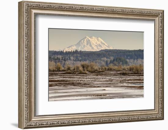 Washington. Mt Rainier in the Distance at the Nisqually-Matt Freedman-Framed Photographic Print