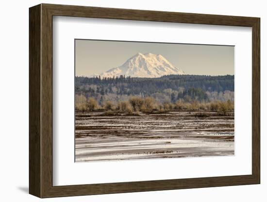 Washington. Mt Rainier in the Distance at the Nisqually-Matt Freedman-Framed Photographic Print