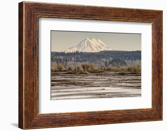 Washington. Mt Rainier in the Distance at the Nisqually-Matt Freedman-Framed Photographic Print