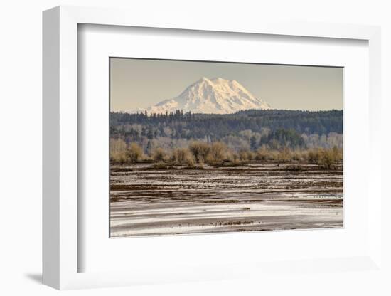 Washington. Mt Rainier in the Distance at the Nisqually-Matt Freedman-Framed Photographic Print