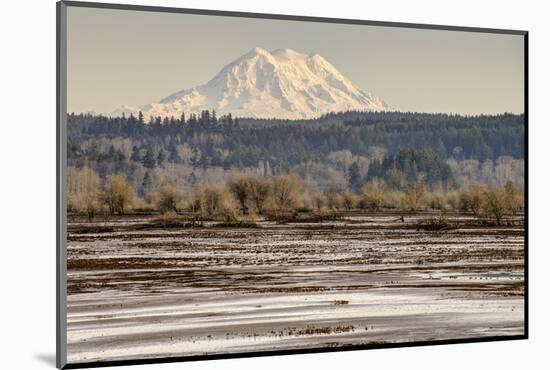 Washington. Mt Rainier in the Distance at the Nisqually-Matt Freedman-Mounted Photographic Print