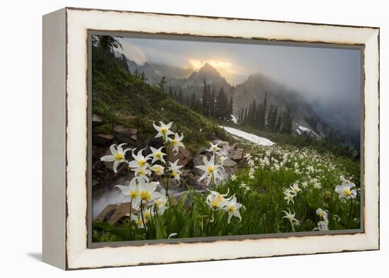 Washington, Mt. Rainier National Park-Gary Luhm-Framed Premier Image Canvas