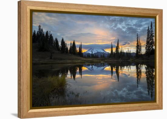 Washington, Mt. Rainier National Park-Gary Luhm-Framed Premier Image Canvas