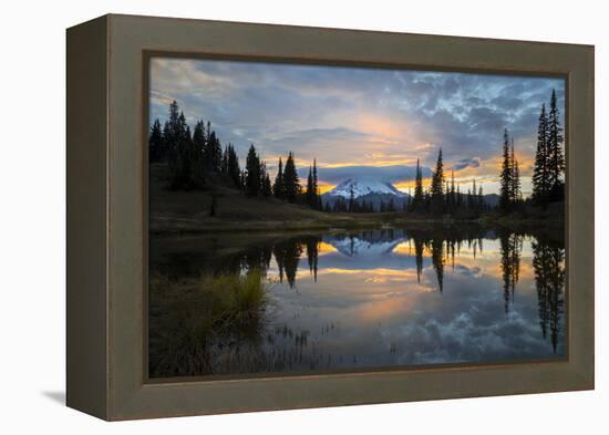 Washington, Mt. Rainier National Park-Gary Luhm-Framed Premier Image Canvas