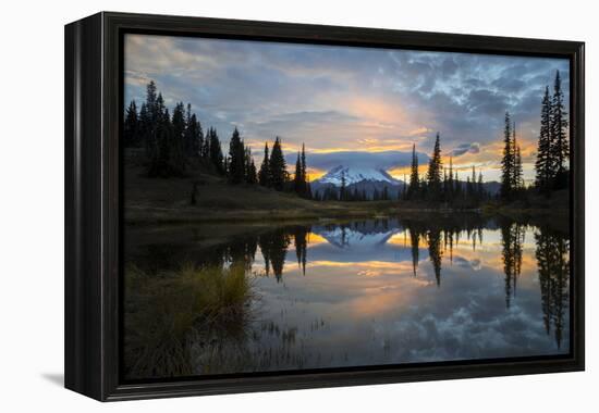 Washington, Mt. Rainier National Park-Gary Luhm-Framed Premier Image Canvas