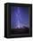 Washington, Mt. Rainier National Park-Gary Luhm-Framed Premier Image Canvas