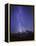 Washington, Mt. Rainier National Park-Gary Luhm-Framed Premier Image Canvas