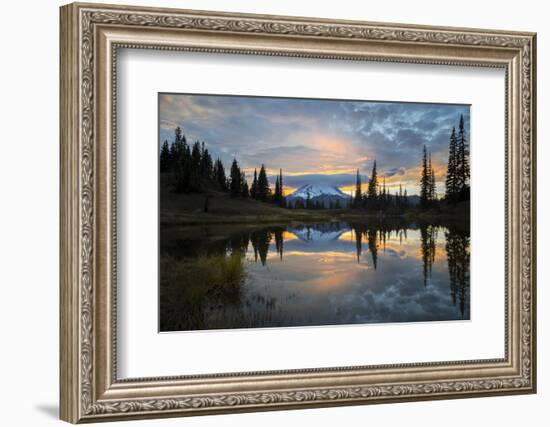 Washington, Mt. Rainier National Park-Gary Luhm-Framed Photographic Print