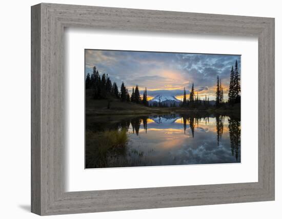 Washington, Mt. Rainier National Park-Gary Luhm-Framed Photographic Print