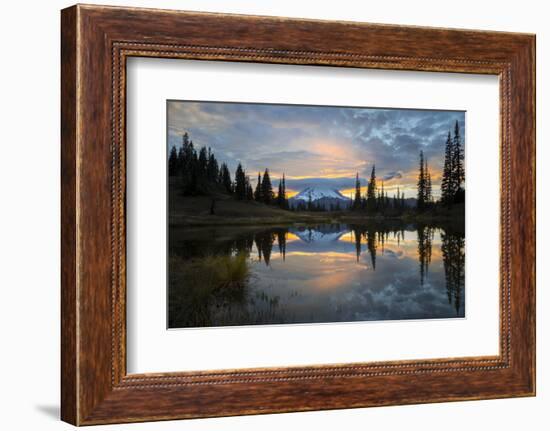 Washington, Mt. Rainier National Park-Gary Luhm-Framed Photographic Print