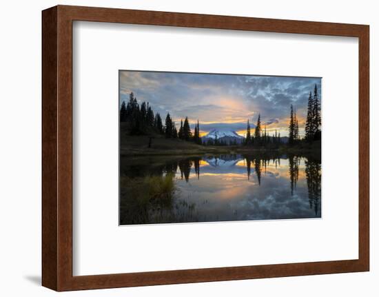 Washington, Mt. Rainier National Park-Gary Luhm-Framed Photographic Print