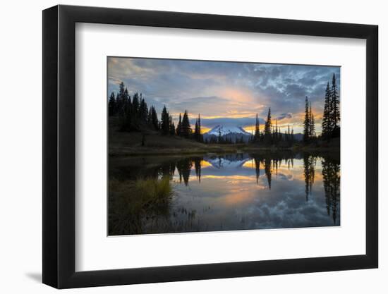 Washington, Mt. Rainier National Park-Gary Luhm-Framed Photographic Print