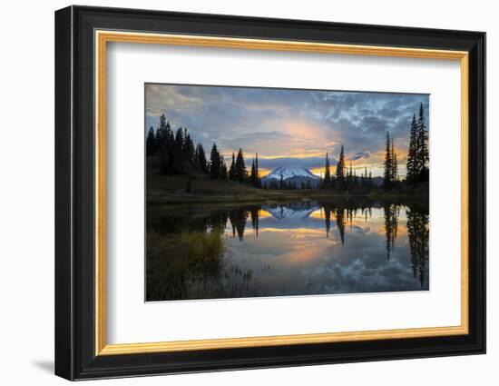 Washington, Mt. Rainier National Park-Gary Luhm-Framed Photographic Print