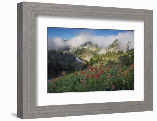 Washington, Mt. Rainier National Park-Gary Luhm-Framed Photographic Print