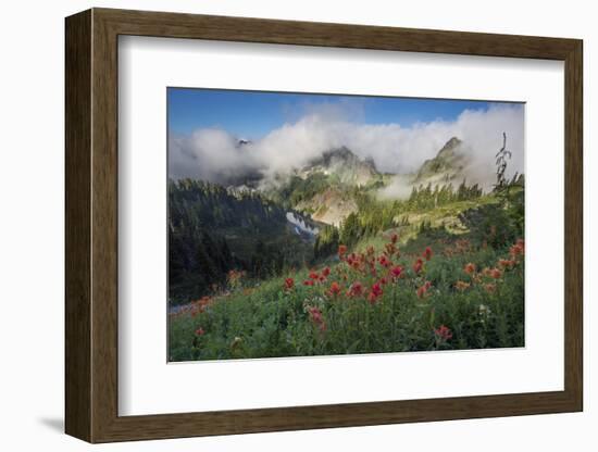 Washington, Mt. Rainier National Park-Gary Luhm-Framed Photographic Print