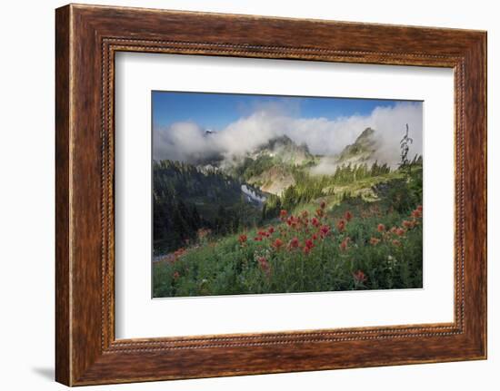 Washington, Mt. Rainier National Park-Gary Luhm-Framed Photographic Print