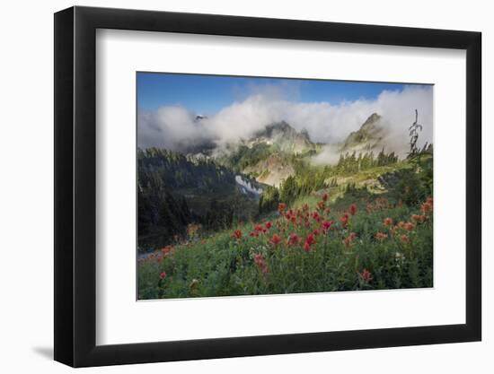 Washington, Mt. Rainier National Park-Gary Luhm-Framed Photographic Print