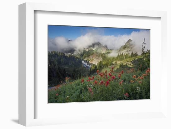 Washington, Mt. Rainier National Park-Gary Luhm-Framed Photographic Print