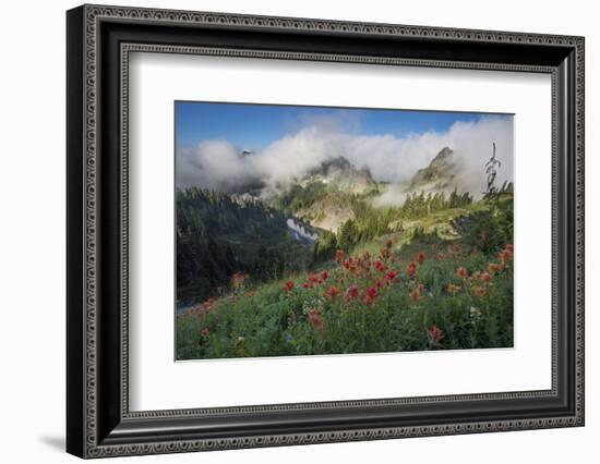 Washington, Mt. Rainier National Park-Gary Luhm-Framed Photographic Print