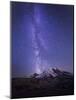 Washington, Mt. Rainier National Park-Gary Luhm-Mounted Photographic Print