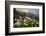 Washington, Mt. Rainier National Park-Gary Luhm-Framed Photographic Print