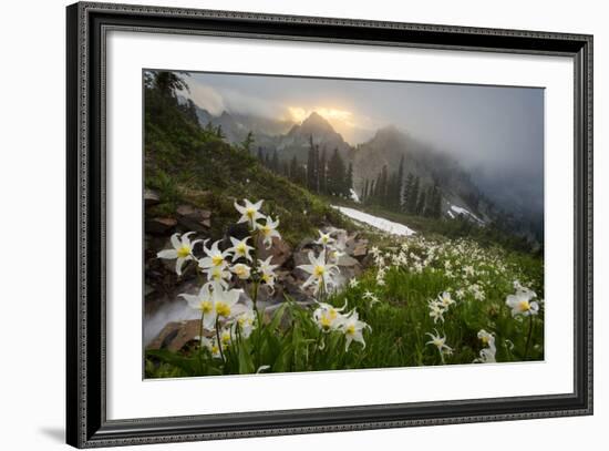 Washington, Mt. Rainier National Park-Gary Luhm-Framed Photographic Print