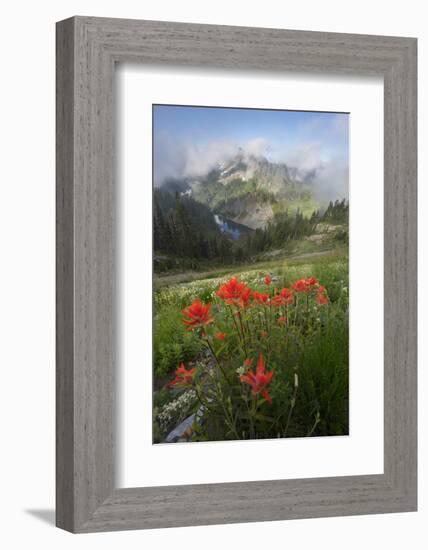 Washington, Mt. Rainier National Park-Gary Luhm-Framed Photographic Print