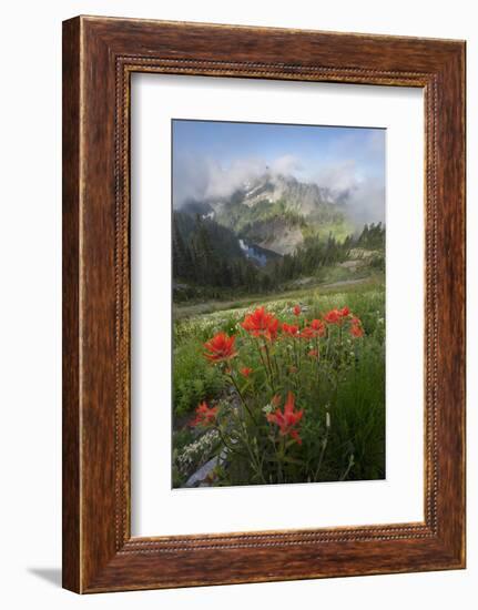 Washington, Mt. Rainier National Park-Gary Luhm-Framed Photographic Print