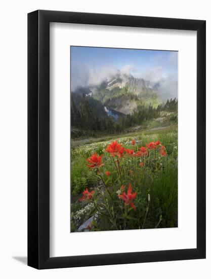 Washington, Mt. Rainier National Park-Gary Luhm-Framed Photographic Print