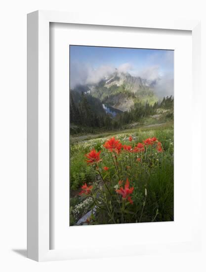 Washington, Mt. Rainier National Park-Gary Luhm-Framed Photographic Print