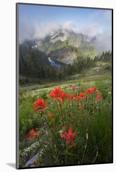 Washington, Mt. Rainier National Park-Gary Luhm-Mounted Photographic Print