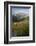 Washington, Mt. Rainier National Park-Gary Luhm-Framed Photographic Print