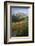 Washington, Mt. Rainier National Park-Gary Luhm-Framed Photographic Print