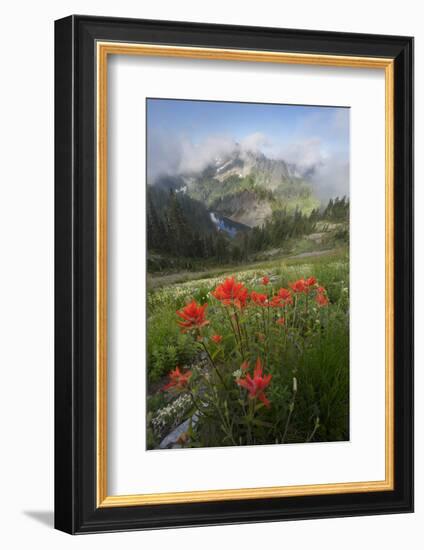 Washington, Mt. Rainier National Park-Gary Luhm-Framed Photographic Print