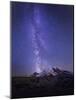 Washington, Mt. Rainier National Park-Gary Luhm-Mounted Photographic Print