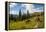 Washington, North Cascades, Slate Pass. Horses and Mules Foraging-Steve Kazlowski-Framed Premier Image Canvas
