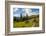 Washington, North Cascades, Slate Pass. Horses and Mules Foraging-Steve Kazlowski-Framed Photographic Print