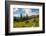 Washington, North Cascades, Slate Pass. Horses and Mules Foraging-Steve Kazlowski-Framed Photographic Print